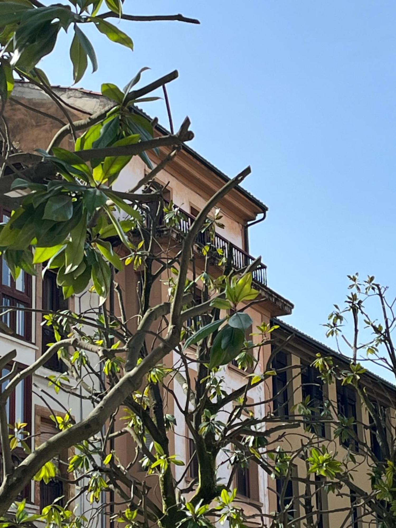Apartamento Salsipuedes-La Catedral Овьедо Экстерьер фото